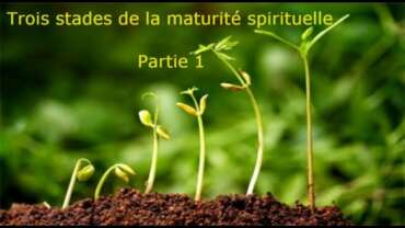 Cédric MERCIER : Trois stades de la maturité spirituelle (Partie 1).
