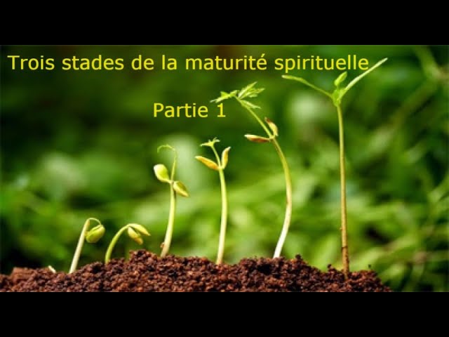 Cédric MERCIER : Trois stades de la maturité spirituelle (Partie 1).