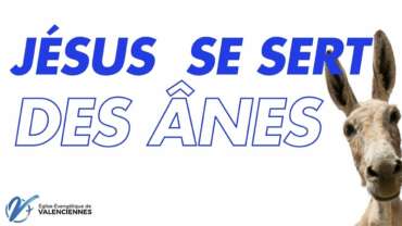 Timothée MELE : Jésus se sert des ânes