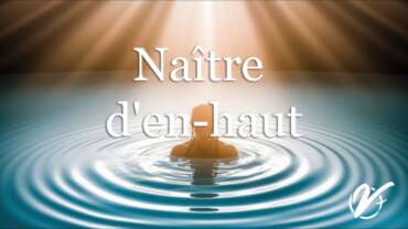 Nicolas TESSIER : Naître d'en-haut