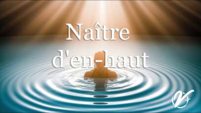 Nicolas TESSIER : Naître d'en-haut