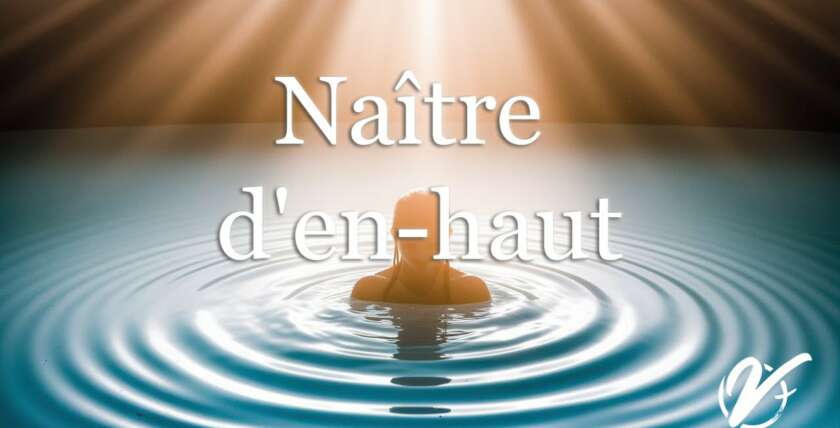 Nicolas TESSIER : Naître d'en-haut