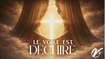 Romain DELESCAUT : Le voile est déchiré